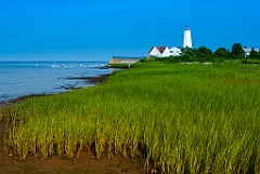 Beachgrass by Lynde Point Lighthouse in Low Tide